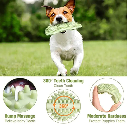 LastingFun Teeth Cleaning Chewable Dog Toy