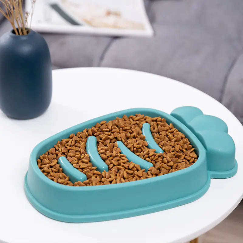 SlowPace Feeder Dog Bowl