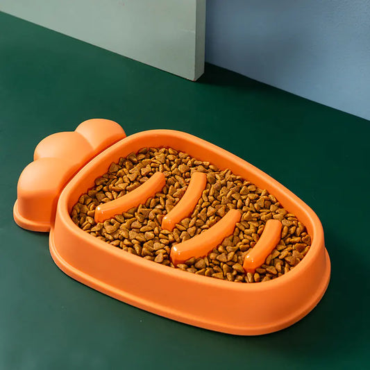SlowPace Feeder Dog Bowl