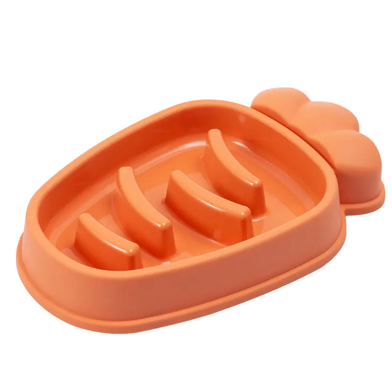 SlowPace Feeder Dog Bowl